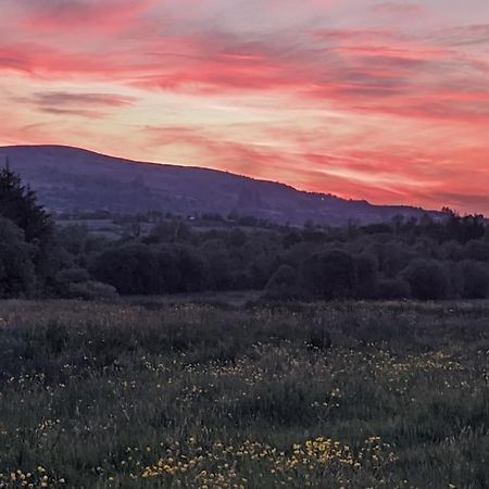 Secluded Private Cottage Hot-Tub, Sauna & Fire-Pit Carrick-on-Shannon Luaran gambar